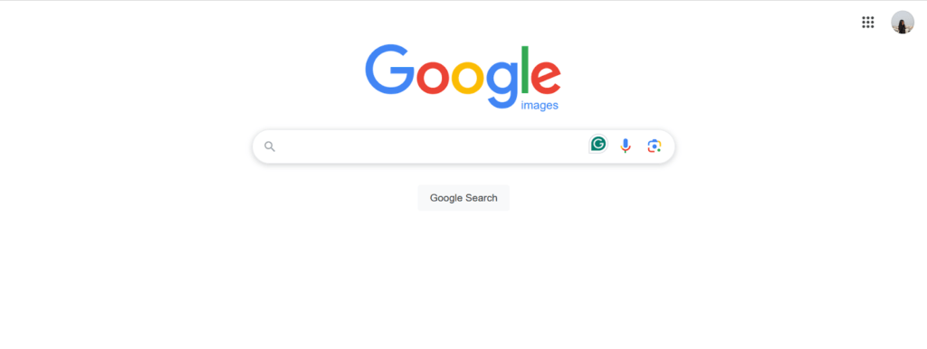 vá para a imagem do google